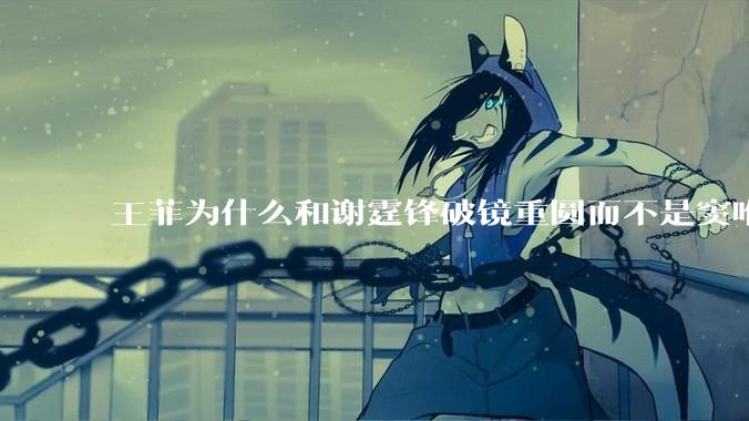 王菲为什么和谢霆锋破镜重圆而不是窦唯？
