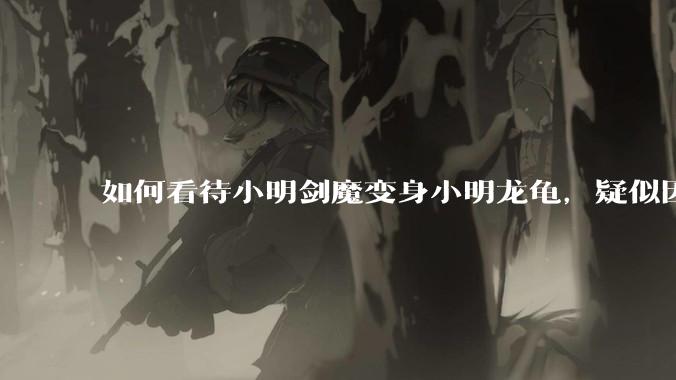 如何看待小明剑魔变身小明龙龟，疑似因为财产问题引发离婚风波？