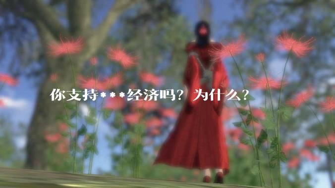 你支持***经济吗？为什么？