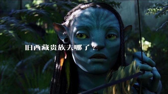 旧西藏贵族去哪了?