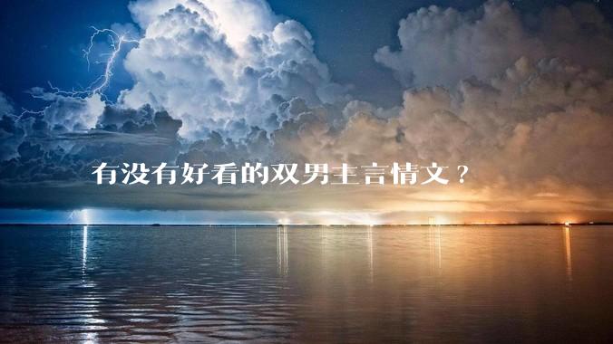 有没有好看的双男主言情文?